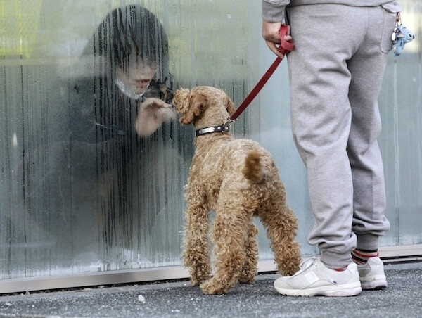 A girl in isolation for radiation screening looks at her dog through a window in Nihonmatsu, Japan on March 14, 2011