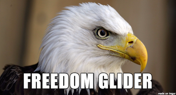 freedom glider