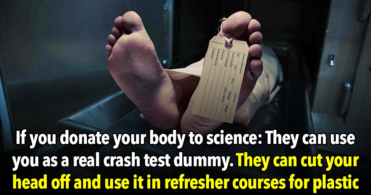 27 Creepy Facts That Will Keep You Up At Night 