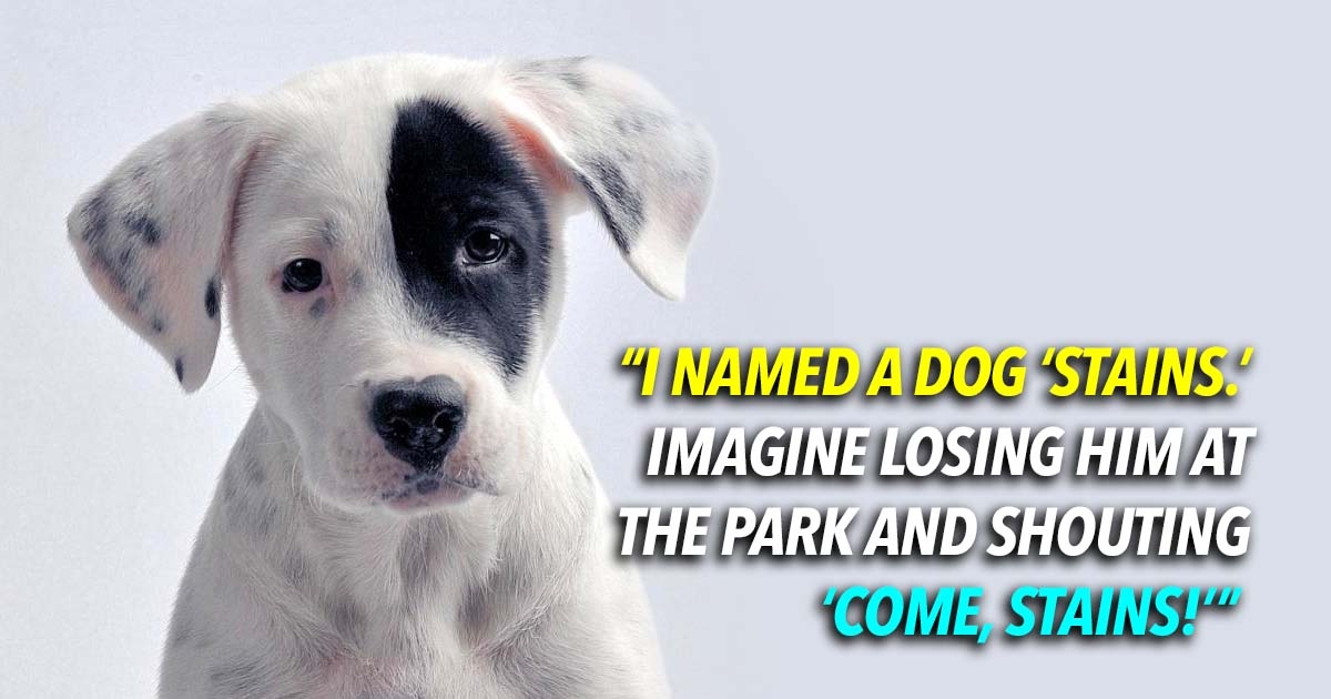 1103hilarious pet names regret