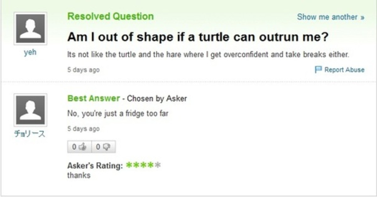 the-dumbest-questions-people-asked-the-internet