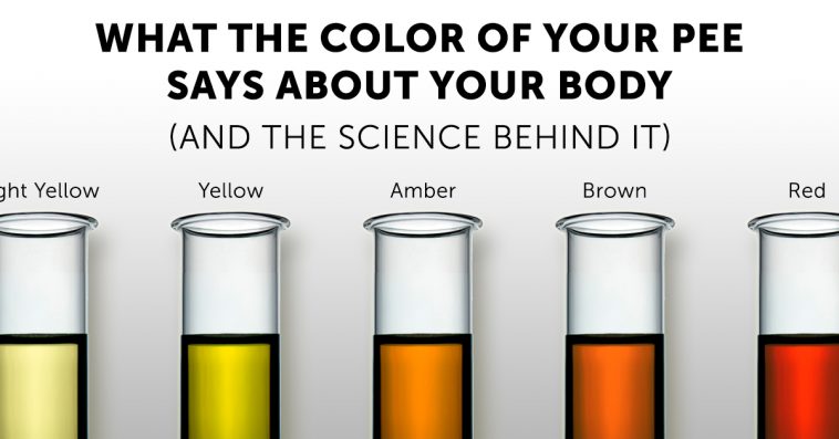 what the color of your pee says about your body and the science behind it