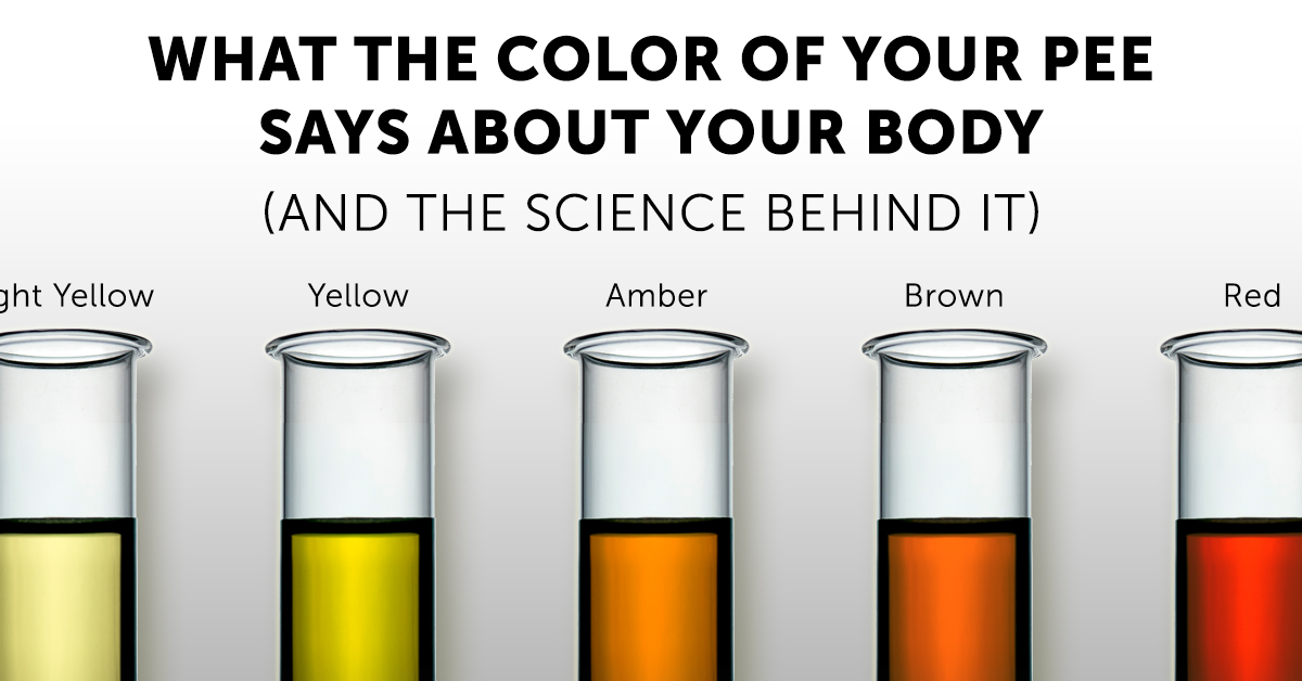 What The Color Of Your Pee Says About Your Body And The ...